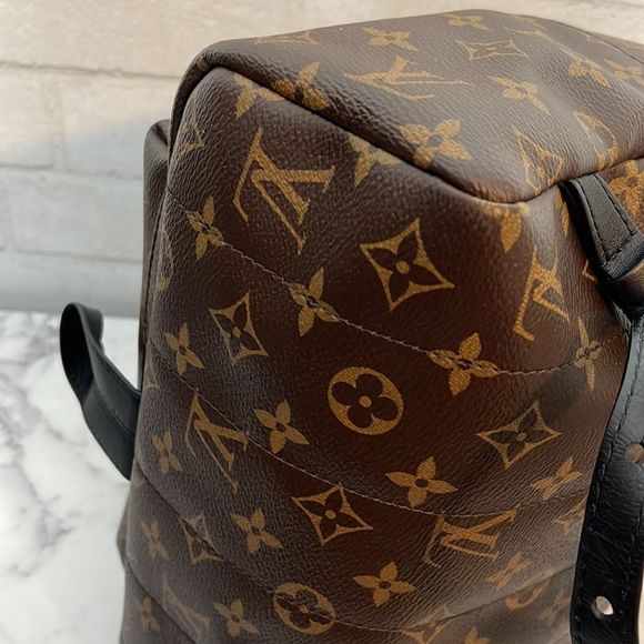 Louis Vuitton Palm Springs MM Monogram Backpack - Picture 7 of 13
